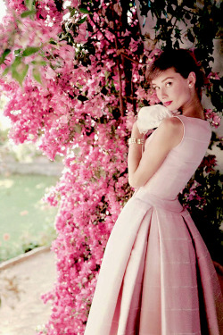 Audrey Hepburn photographed by Norman Parkinson,