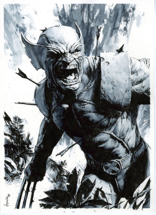 bear1na:Wolverine by Patric Reynolds *