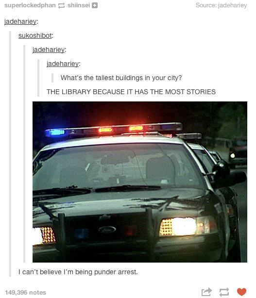 itsstuckyinmyhead:  Tumblr and Puns 