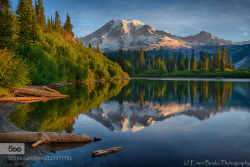 connor-burrows:  Bench Lake Early Morning