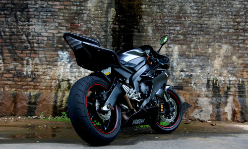 biostasis:  2007 Yamaha R6 by C.Valentis