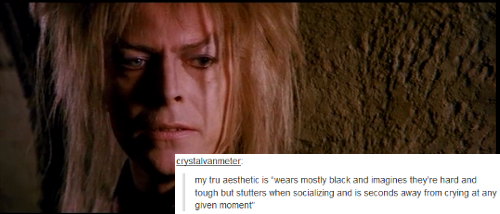 songforalonggoodbye:  Labyrinth + Text Posts Bonus Tweet   