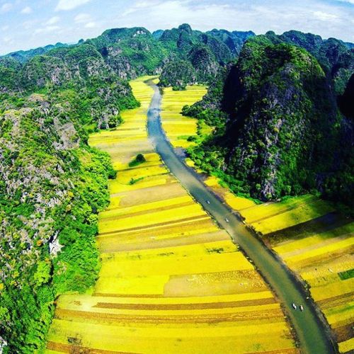 Gorgeous terrace rice-fields in Tam Coc #Ninhbinh #VietnamTag #Legendtravelgroup #tamcoc #tamcocgrot