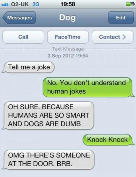 9gag:  Dogs don’t get jokes!