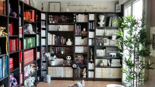 moluskette:That’s it, I think I’m done with it! Final layout of my home library.I bought a bamboo, a