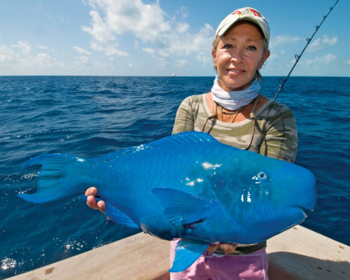 citizenpayney: sharkchunks: givemeinternet: Bluest Fish I’ve Ever Seen It seems aware of its b