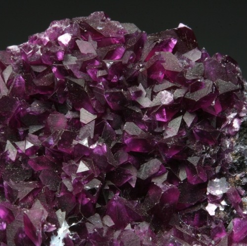 bijoux-et-mineraux:  Kämmererite with Calcite and Asbestos - Kop Krom Mine, Kop Daglari, Eastern Anatolia, Turkey
