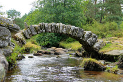 ataleofforestandfield:  The Bridge of the Fairies. Photo by Leina1 on DeviantArt. Please retain photographer’s credit–thank you! A little bridge to Senoueix. France, Limousin, Creuse.  Roman bridge. Maybe it was built at about 12th century. Classified