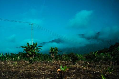 lucilaramosphoto:  La selva de Chiapas. © Lucila Ramos. Enero.16