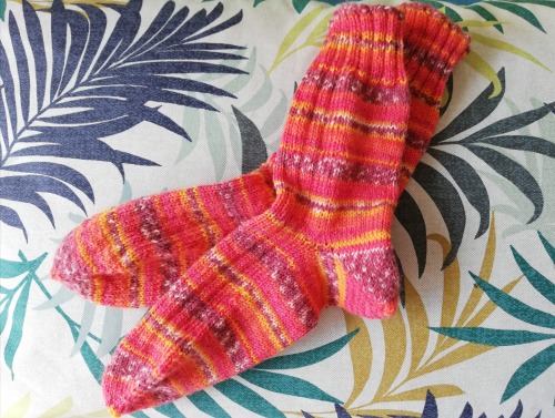 quarantine knitting check !!new leaf designs’ “simple toe up socks” and an improvised double moss ha