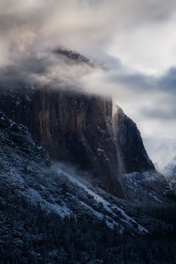 wolverxne:    Captain’s Veil | by: { Jason Chong }