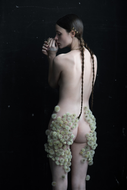 stonedsexandsweets: darksilenceinsuburbia: Isabelle Chapuis & Duy Anh Nhan Duc: Dandelion Wow