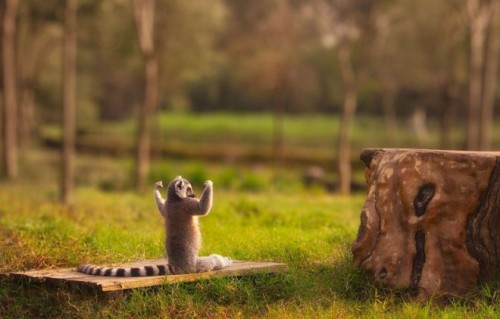 A little stretch and then let’s attack the day