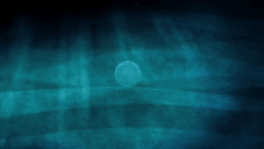 moonlightsdreaming:Song of the Sea (2014)