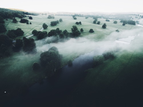 enchantedengland:dpcphotography:Morning, at Chatsworth EstateThese are just gorgeous. And ethereal. 