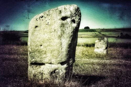 West Kennet Stone Avenue, nr Avebury, Wiltshire 27.6.18.