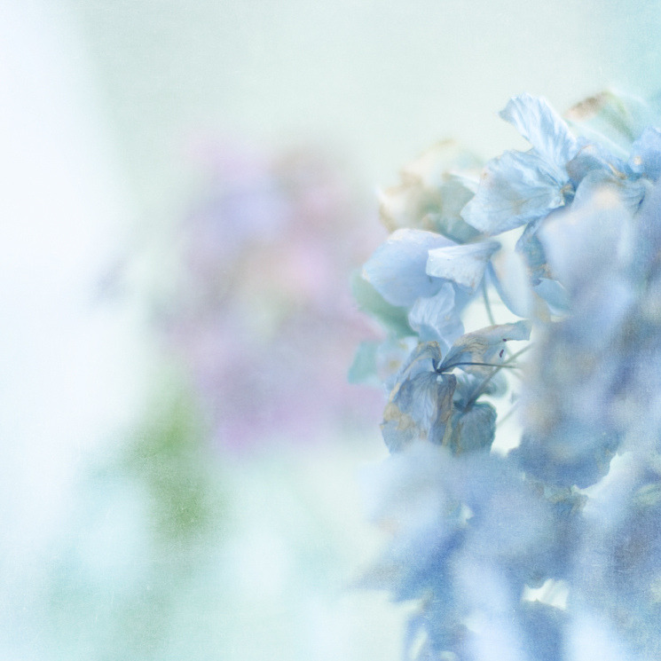 baetology:  pastel moods 