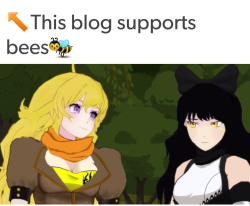 rwby1:  Bumblebee is OTP