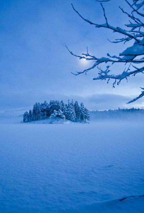 bluepueblo:  Frozen Lake Island, Skitur, Sweden photo via nancy 