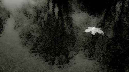 ordinaryimages:…from whence it fell.