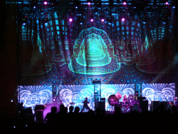 unclemilkdaddy:  justxwell:  Tool, live performances.