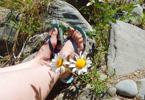 Feet in the Flowers Newest foot video is free up on my youtube channel: youtu.be/Q0-aNnuWB8Q