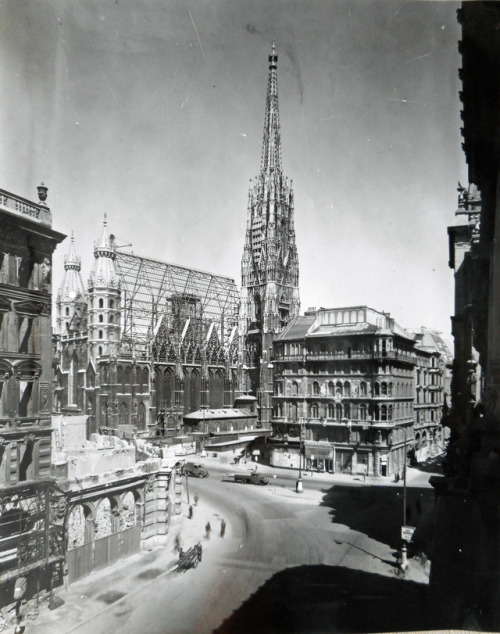 Der Wiederaufbau des Stephansdoms und die damit verbundenen Restaurierungsarbeiten fotografisch doku