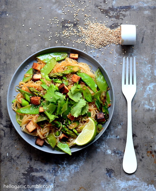 hello asparagus & tofu pad thai!