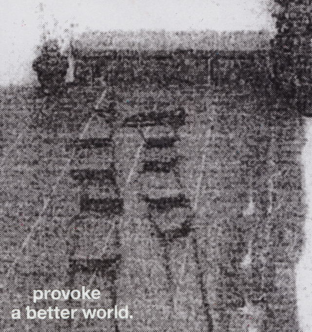 provoke a better world