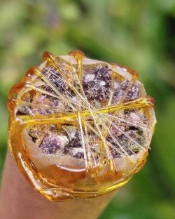 letssmokeloud:  Always dank weedporn by macromob420!