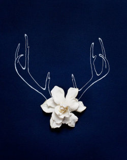 showslow:  Kari Herer, Holiday Antlers |