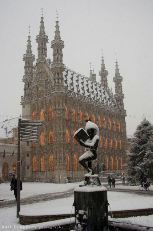 the townhall of the city of leuven,belgium