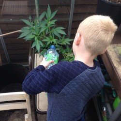 weedporndaily:  #TeachThemYoung and #theygrowup