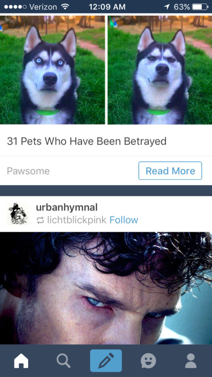 My dash did a thing