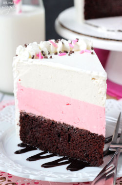 confectionerybliss:  Neapolitan Ice Cream Cake | Life, Love And Sugar 