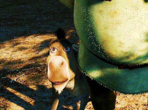 Porn photo chewbacca:  You there. Ogre! — Aye? Shrek