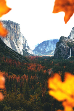 tryintoxpress:   Yosemite - Photographer