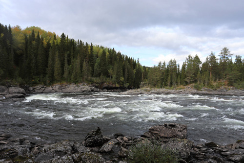 Ristafallet in Jämtland, Sweden.