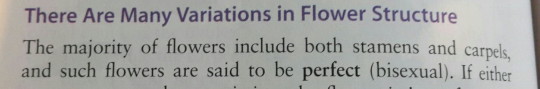 sad-black:  itsqueerlyhalloween:  lesbianmccree:  boganjunkrat:  did you know there are bisexual flowers and they’re perfect   it says so right there in my bio textbook i would never lie to you   perfect (bisexual)   reblog if you are a perfect bisexual,