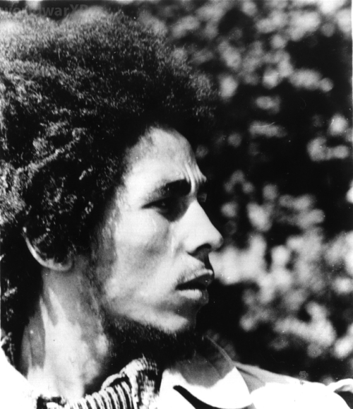“I’m a rebel, ‪soul rebel. i’m a capturer, soul adventurer.” - Bob Marley