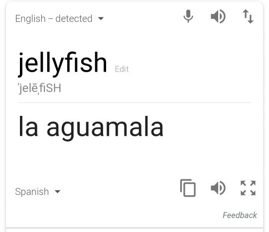 circelline:  librius:   librius:   librius:  affdhbdfjojvtij im goNNA CRY  JELLYFISH IN SPANISH IS JUST “BAD WATER”     Listen, sometimes you’re swimming and you dont see the angry ocean ghost zap you, so you decide that its the water that hurts
