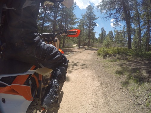 Diversifying my two wheeled adventures this year.