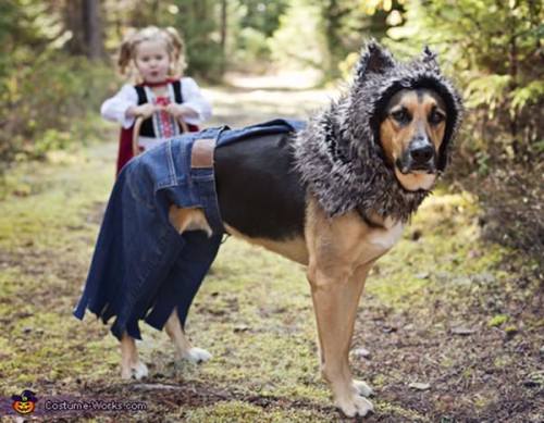 thriveworks:The 50 Best Kid-and-Dog Duo Halloween Costumes (see 40 more)