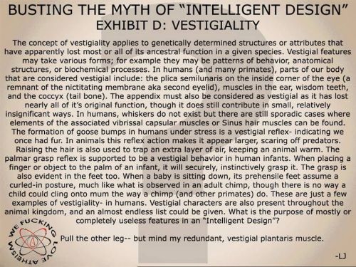 religion-is-a-mental-illness:“Intelligent design” isn’t, and your god is vestigial