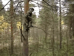 howfunnyisthat:  Stuck in a tree, only one thing to do