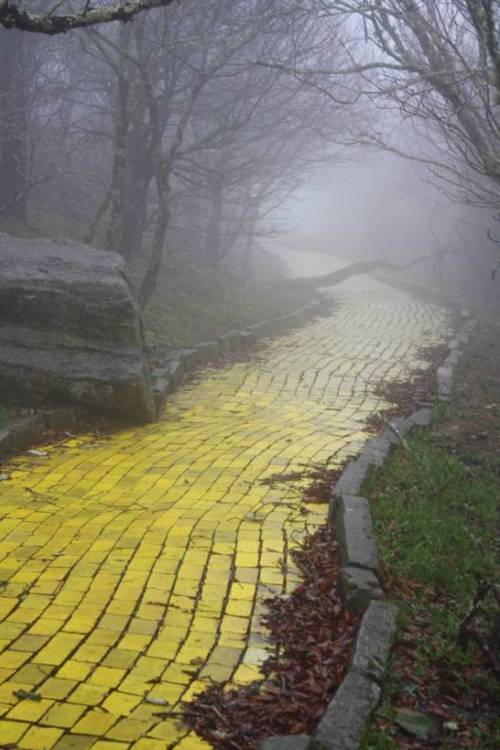 newcrystalcitysteel:stunningpicture:Eerie photo of the Yellow Brick Road from an abandoned Wizard of