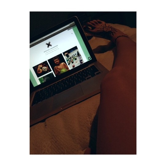 Tumblr media