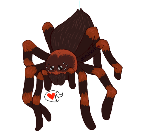 the other night I had a dream where a giant spider asked me out on a date.I have bad arachnophobia t