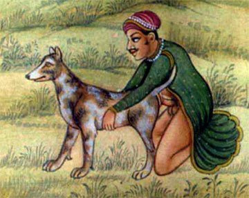 With in sex zoo Algiers dog Lesbian Dog