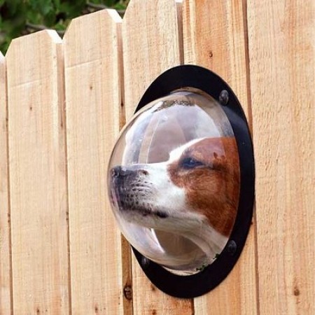 reprimed:  crybaby42:  every single fence should have at least one of these for all dogs  I FOLLOW BACK 